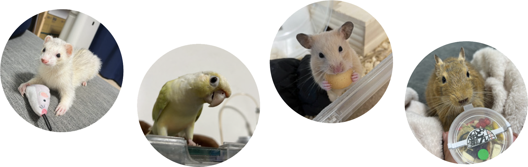 Yumemiさんの趣味